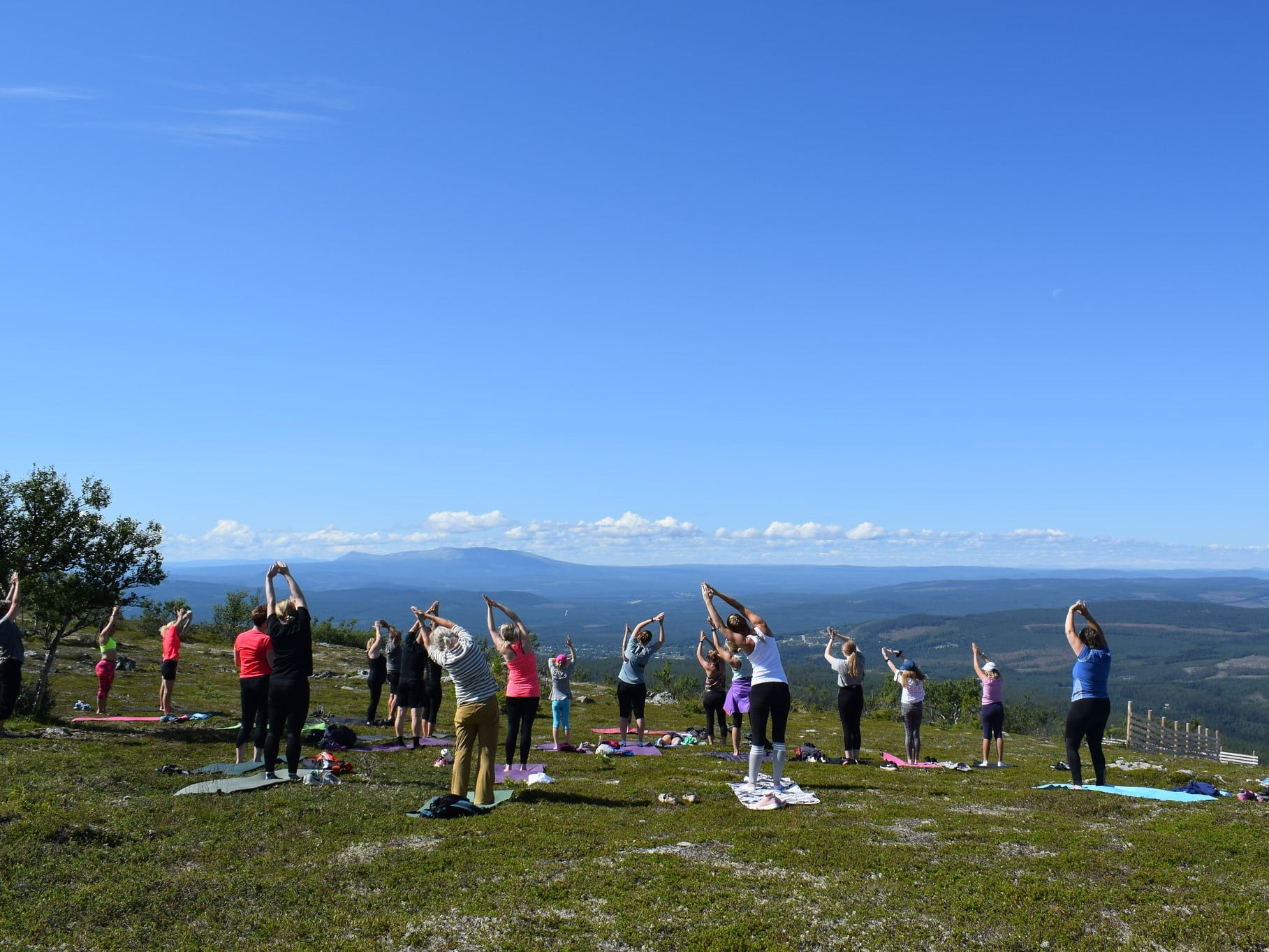 A group of people do yoga on a summery mountain