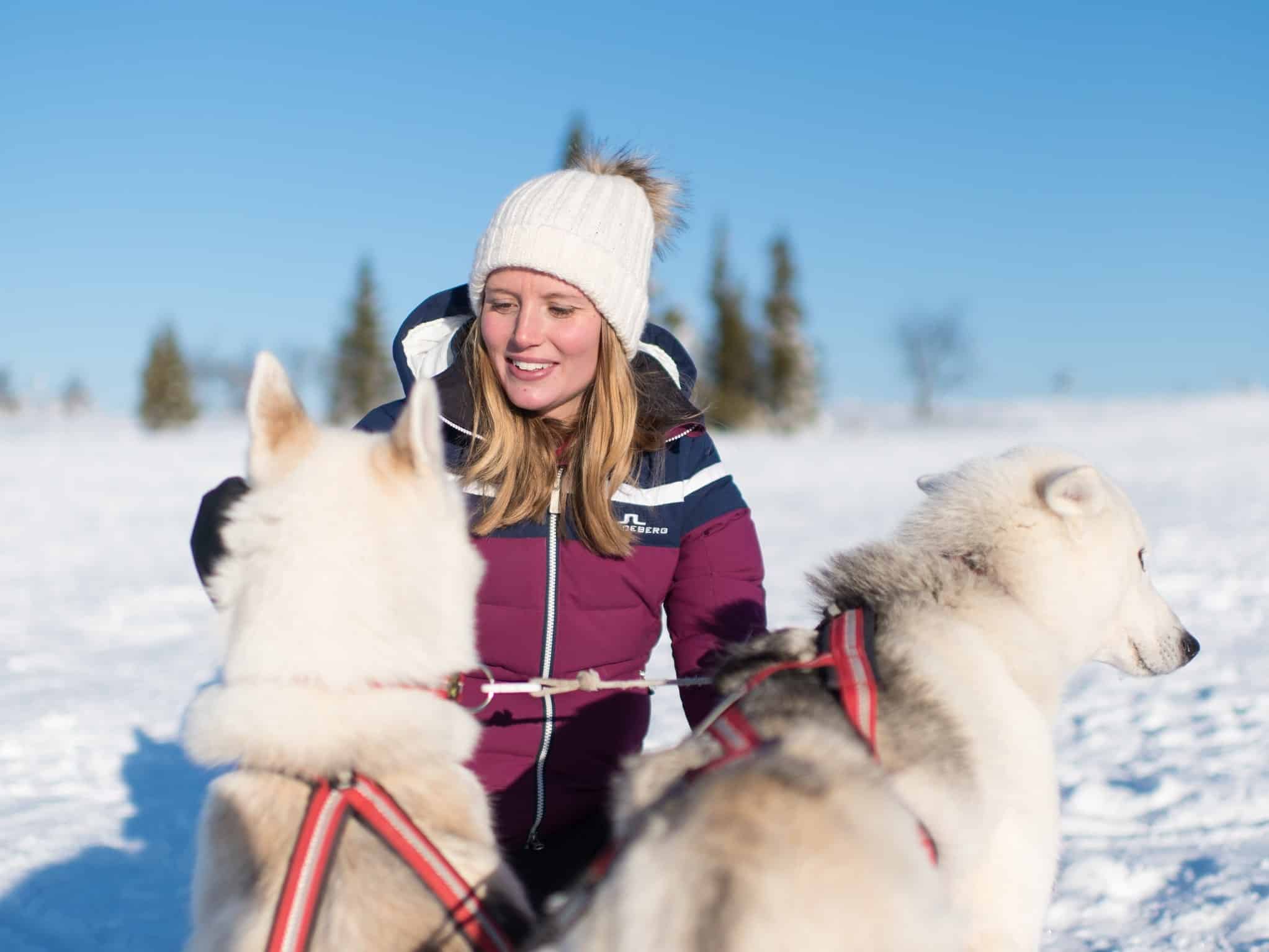 Girl in white cap and cerise colored jacket sits and pet two light gray sled dogs on a sunny winter day.