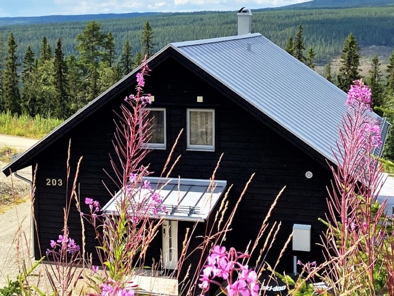 On the slope of Klockarfjället lies a black 1 1/2 storey villa with a white entrance door on the gable under a protruding gray tin roof with lace protection. On the upper floor there are two windows. On the wall it says 203. In the foreground blades of grass and pink-flowering Milkwort. In the background miles of green spruce forest.