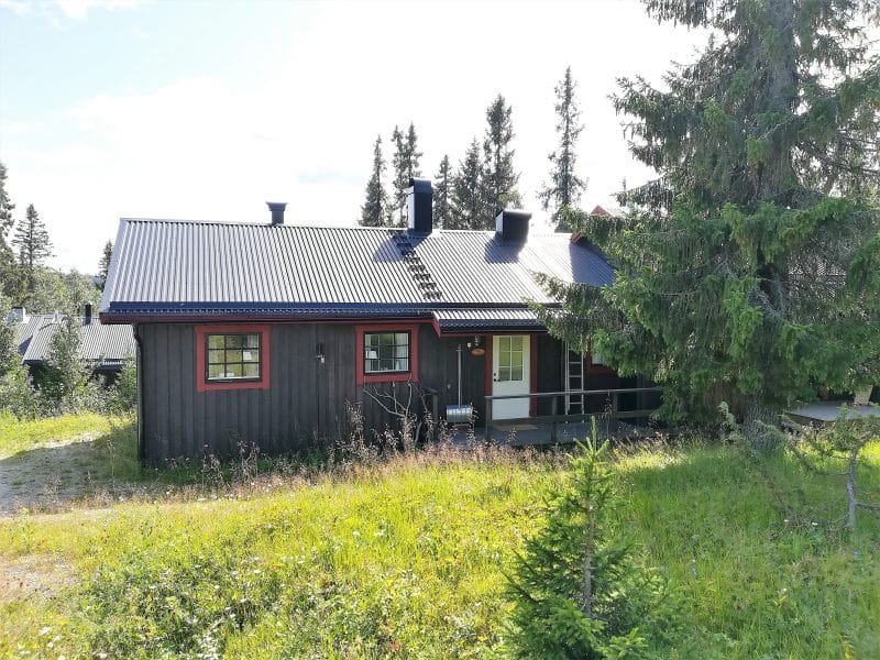 Brown mountain cabin on one level with red window and door linings on a natural plot with firs and meadow grass.